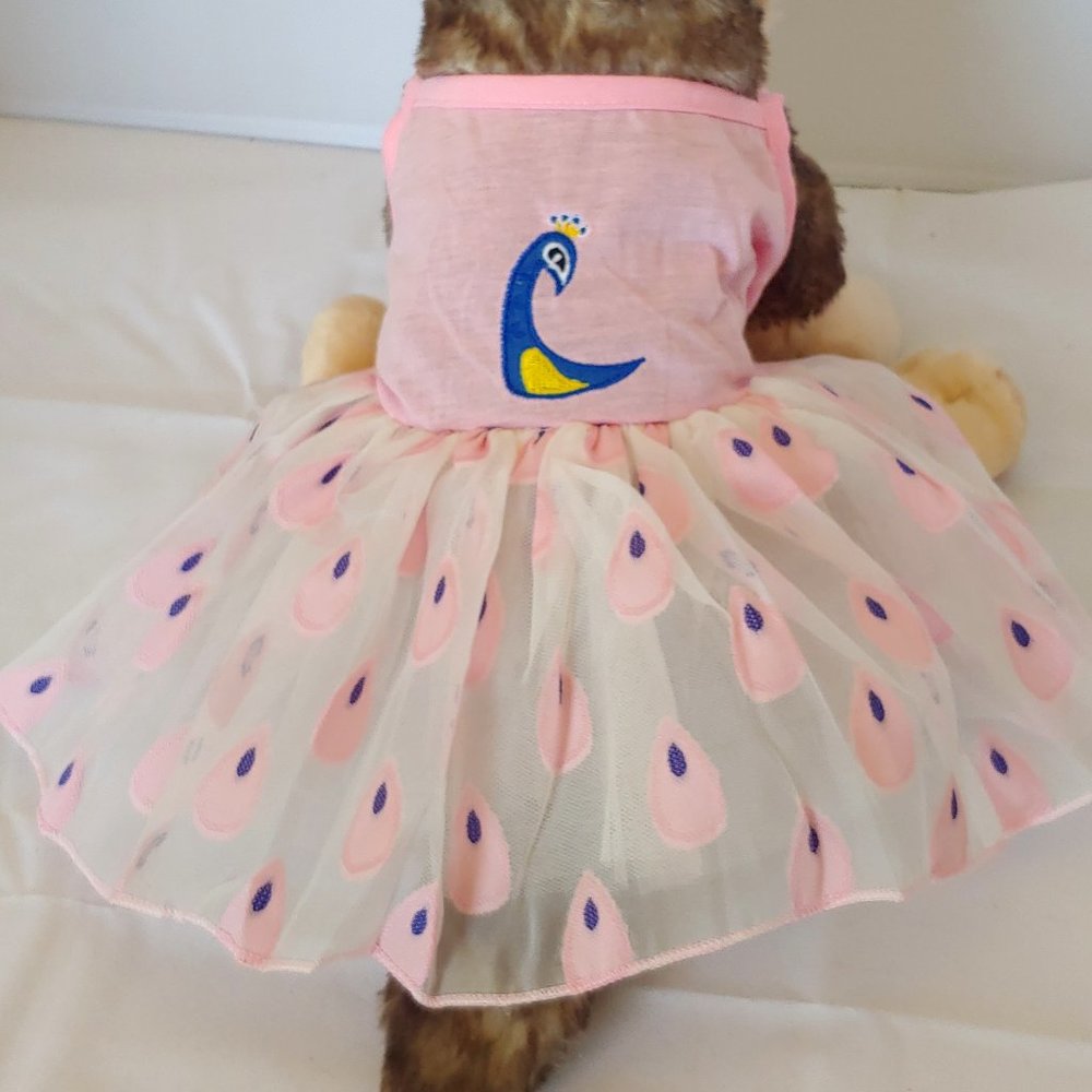 Dress for Pet
